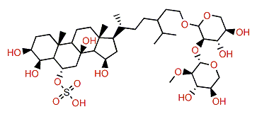 Acodontasteroside B